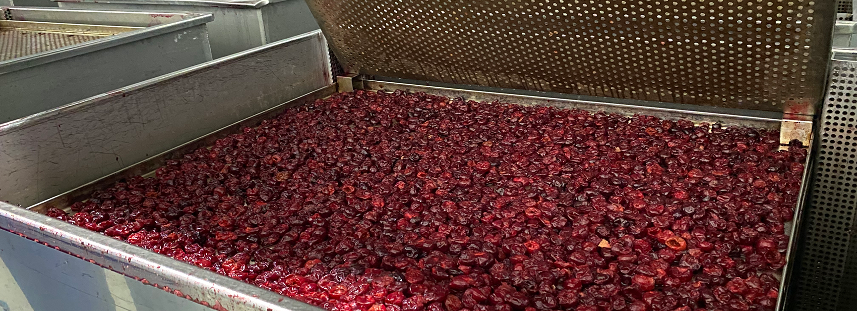 İnfüze Ürünler Hattı