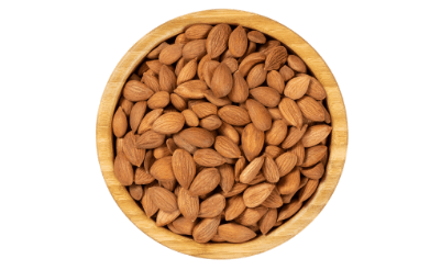 KAYISI ÇEKİRDEĞİ