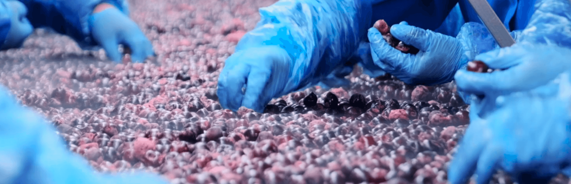 Sürdürülebilir &lt;span&gt;Üretim&lt;/span&gt;