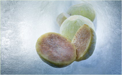 DONDURULMUŞ İNCİR